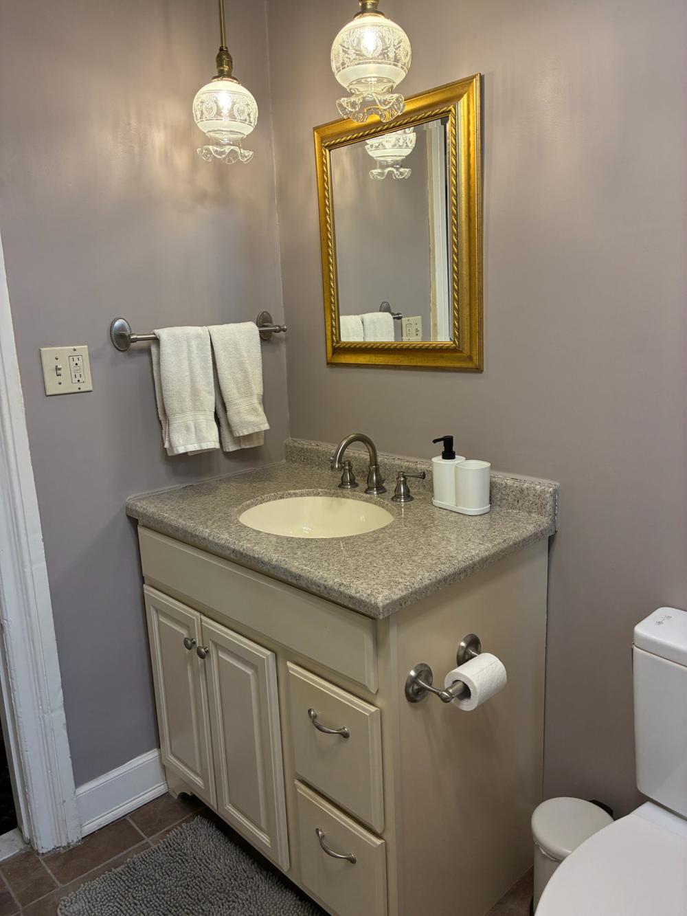Old Albany Real Estate - 165 Lancaster Street #29 of 36