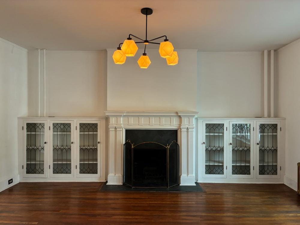 Old Albany Real Estate - 140 Chestnut Street #4 of 25