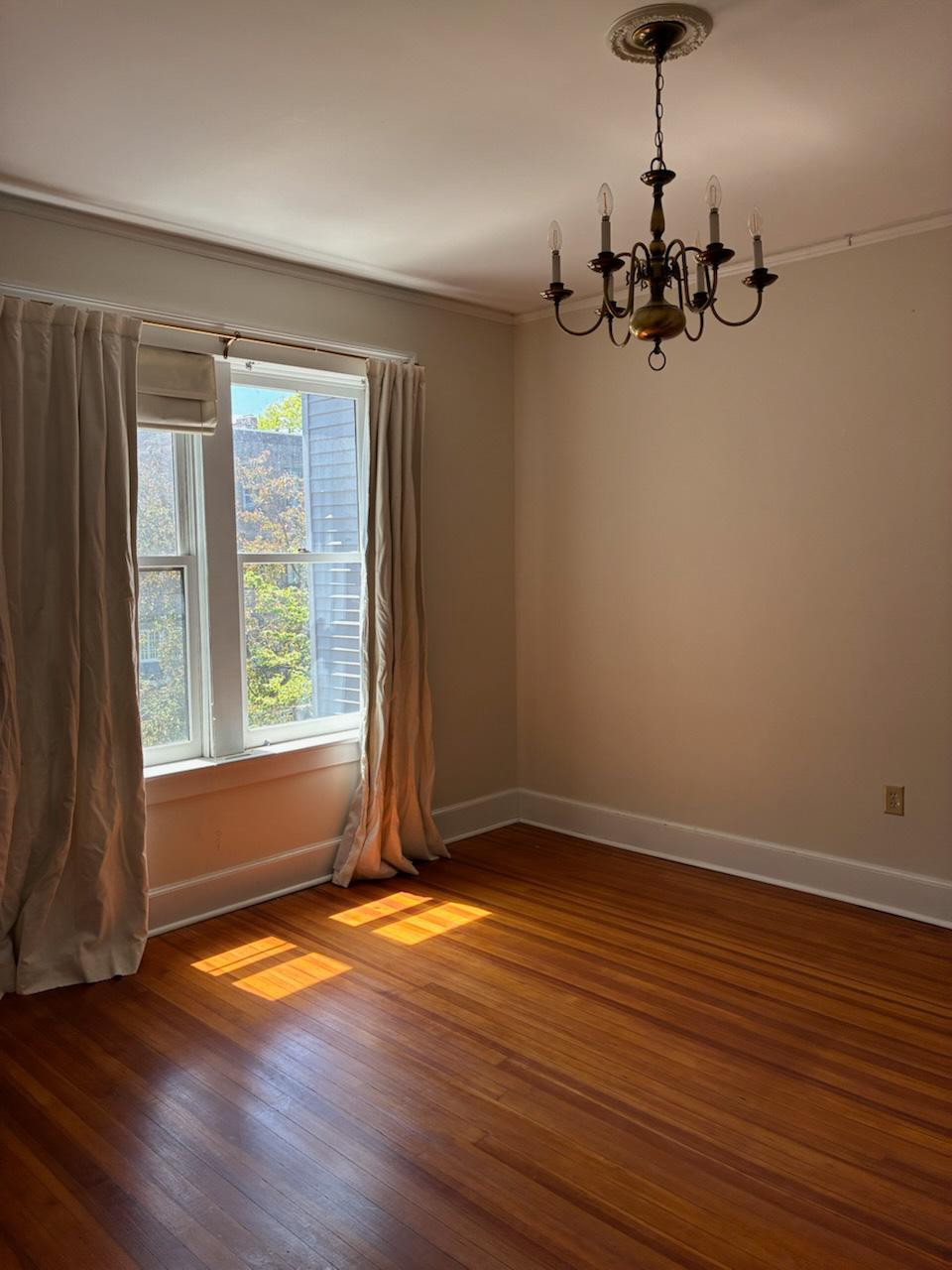 Old Albany Real Estate - 140 Chestnut Street #22 of 30