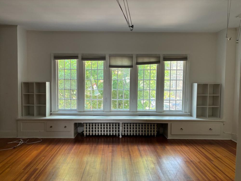 Old Albany Real Estate - 140 Chestnut Street #25 of 30