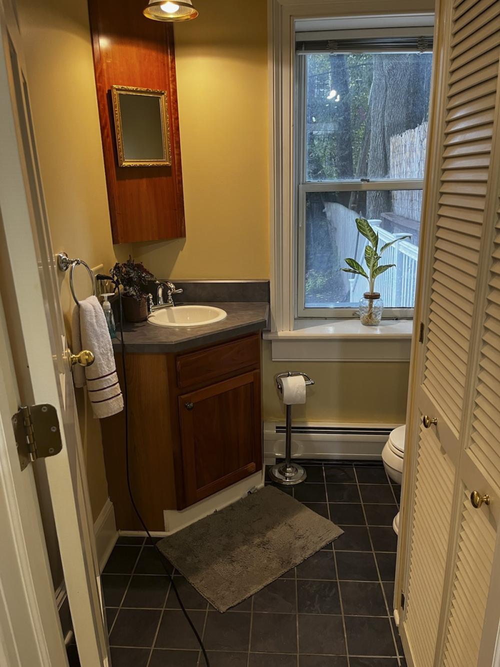 Old Albany Real Estate - 176 JAY STREET #10 of 29