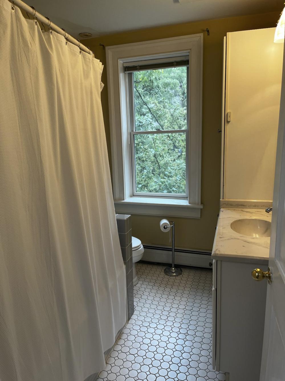 Old Albany Real Estate - 176 JAY STREET #14 of 29