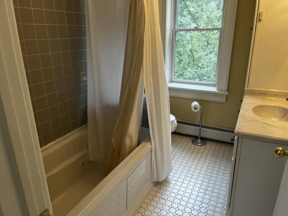 Old Albany Real Estate - 176 JAY STREET #15 of 29